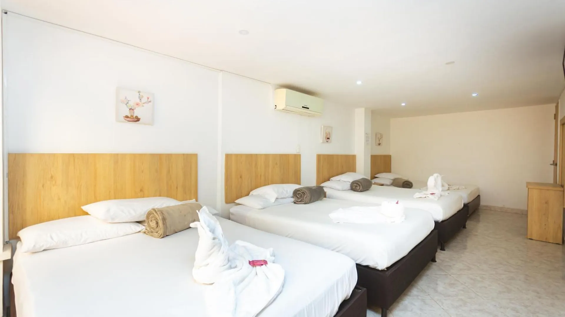 Hotel Colores Boutique 메딜린